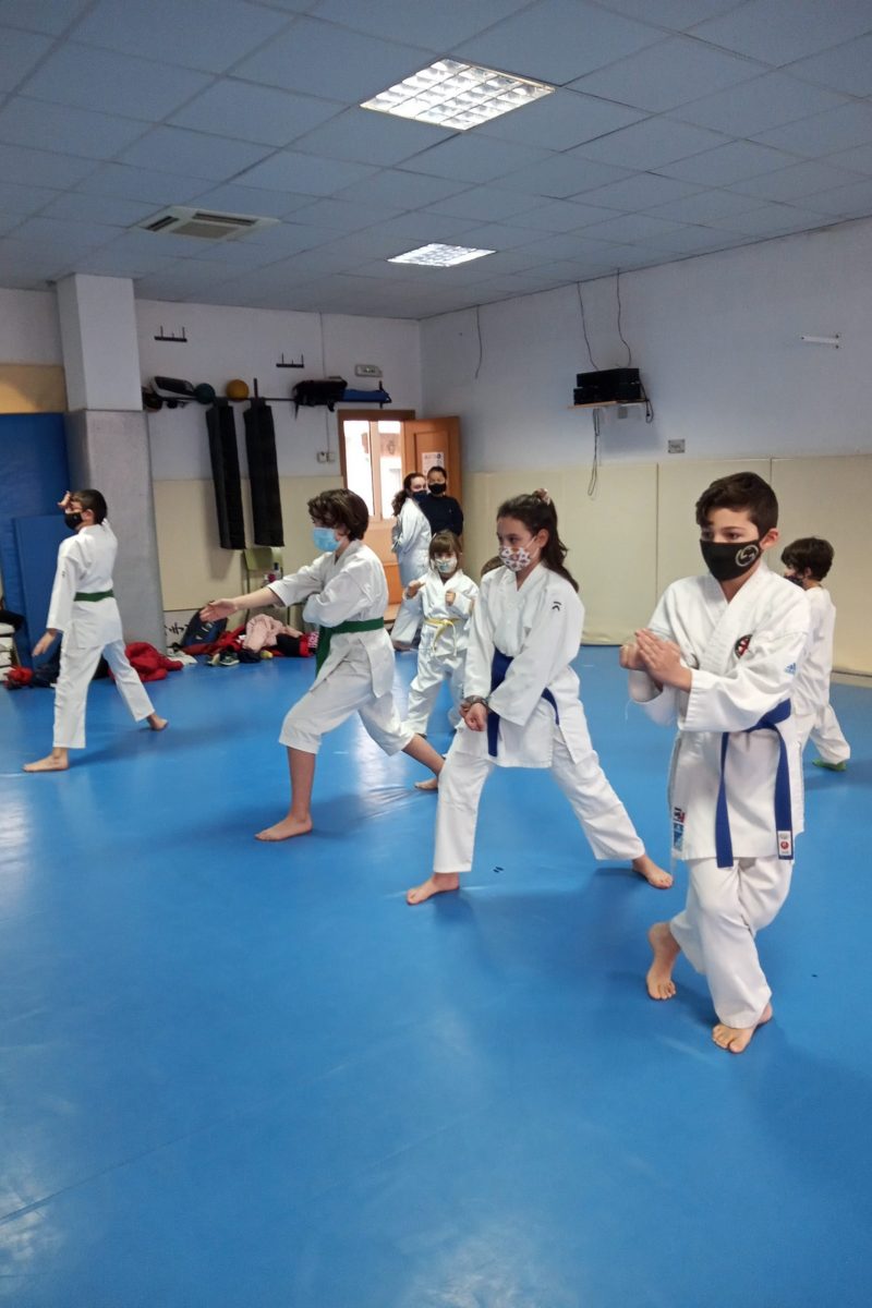 karate infantil foto karate infantil foto