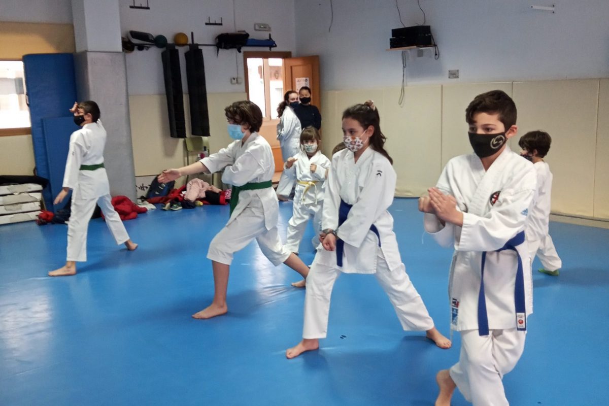 karate infantil foto karate infantil foto